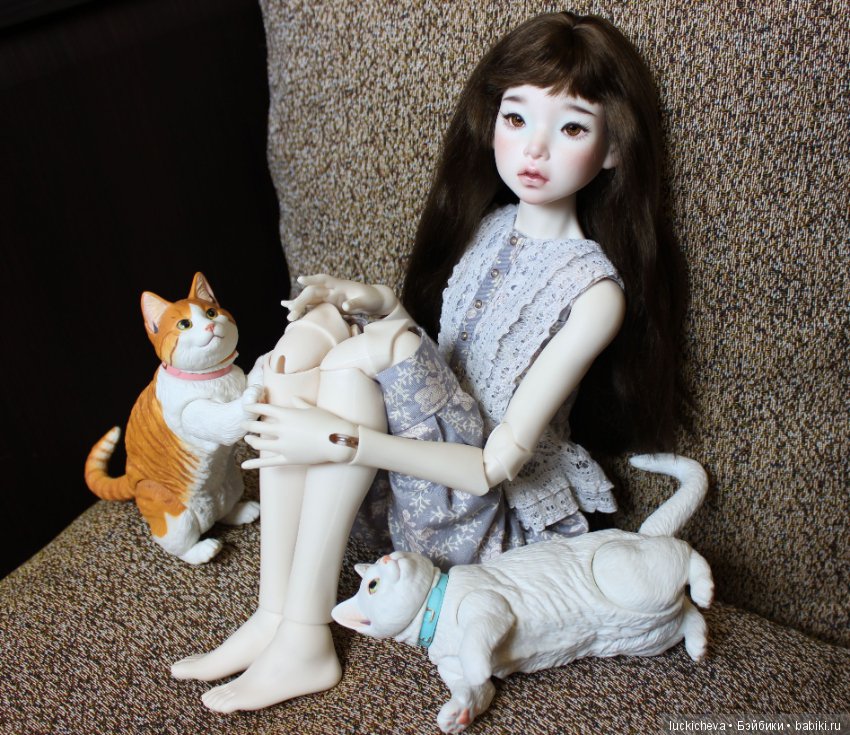 Ленивые выходные. Файлин и шарнирные котики манчкины