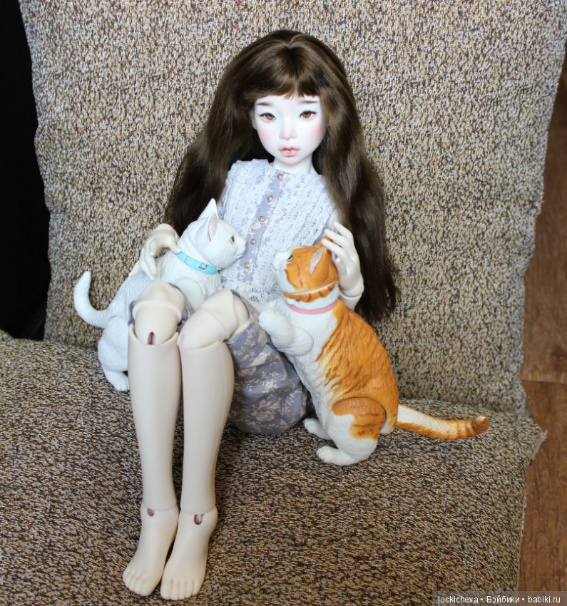 Ленивые выходные. Файлин и шарнирные котики манчкины