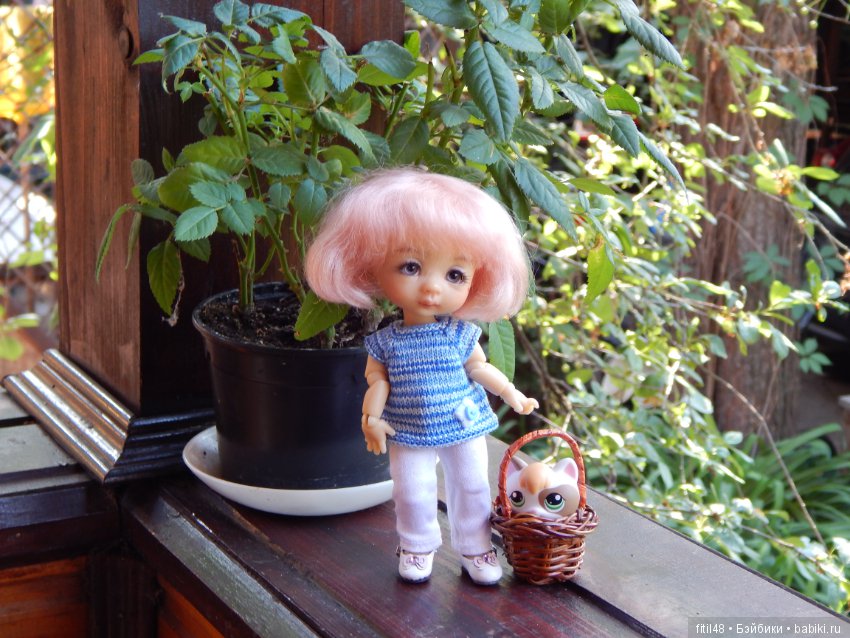 Ромашки — Куклы Nikki Britt (Никки Бритт): авторские BJD (БЖД) (фото 2)