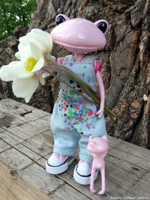 Таша+Таша или мои лягушки путешественницы