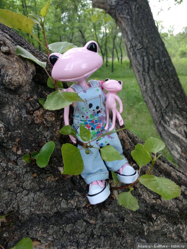 Таша+Таша или мои лягушки путешественницы (фото 4)