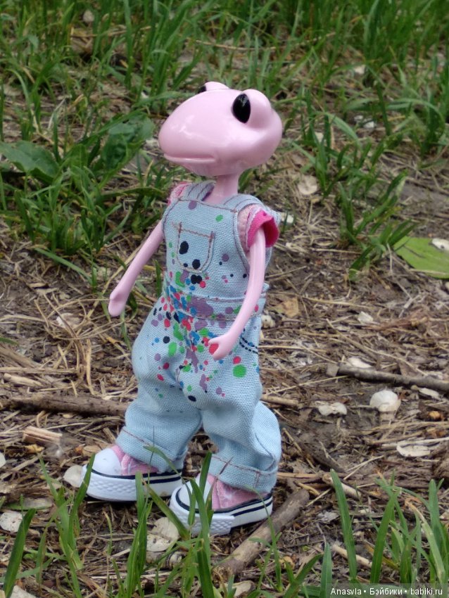 Таша+Таша или мои лягушки путешественницы (фото 5)