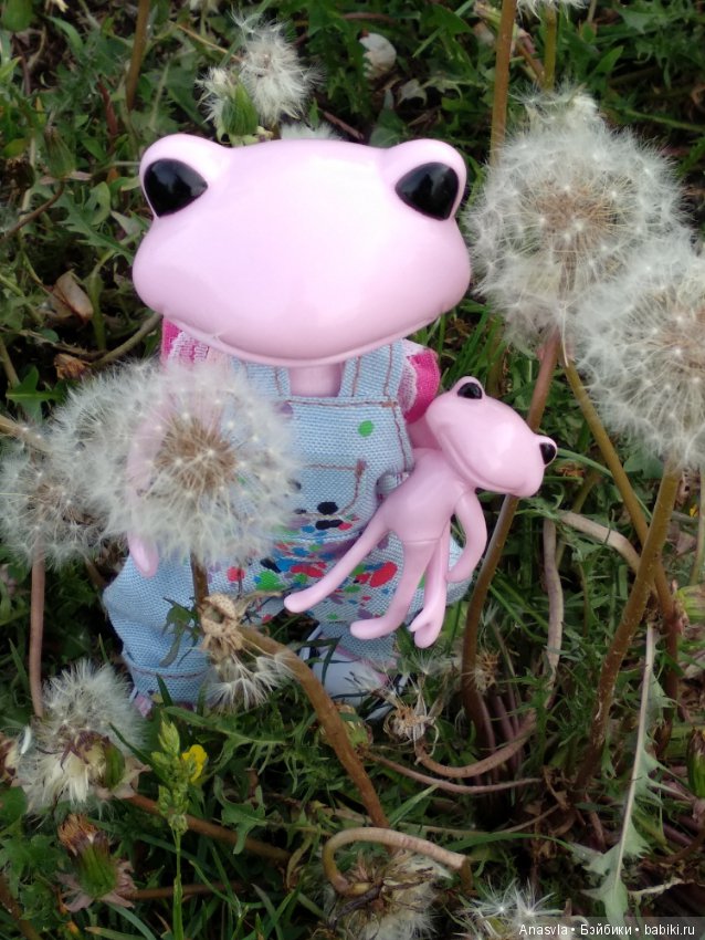 Таша+Таша или мои лягушки путешественницы