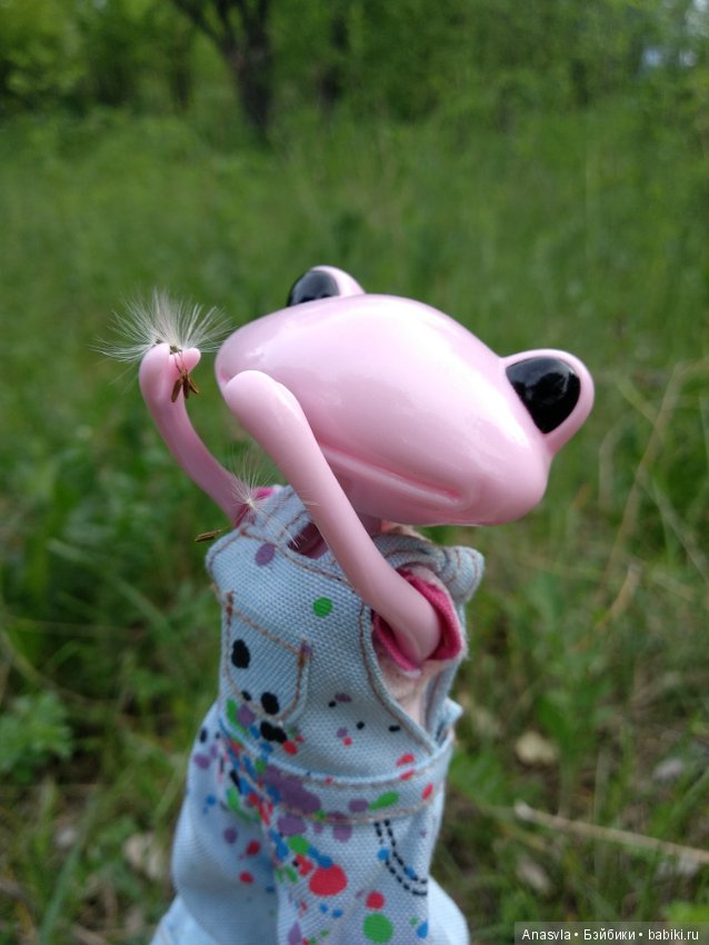 Таша+Таша или мои лягушки путешественницы (фото 8)