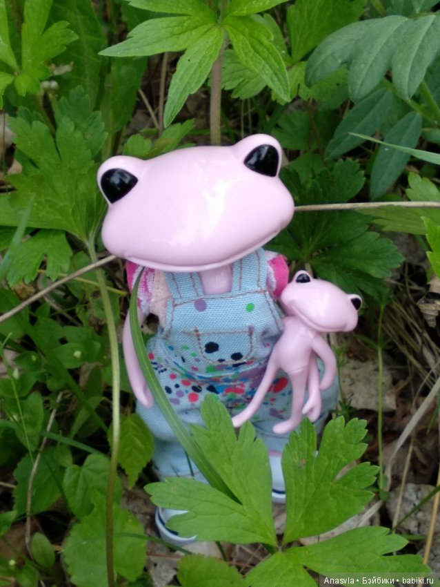 Таша+Таша или мои лягушки путешественницы