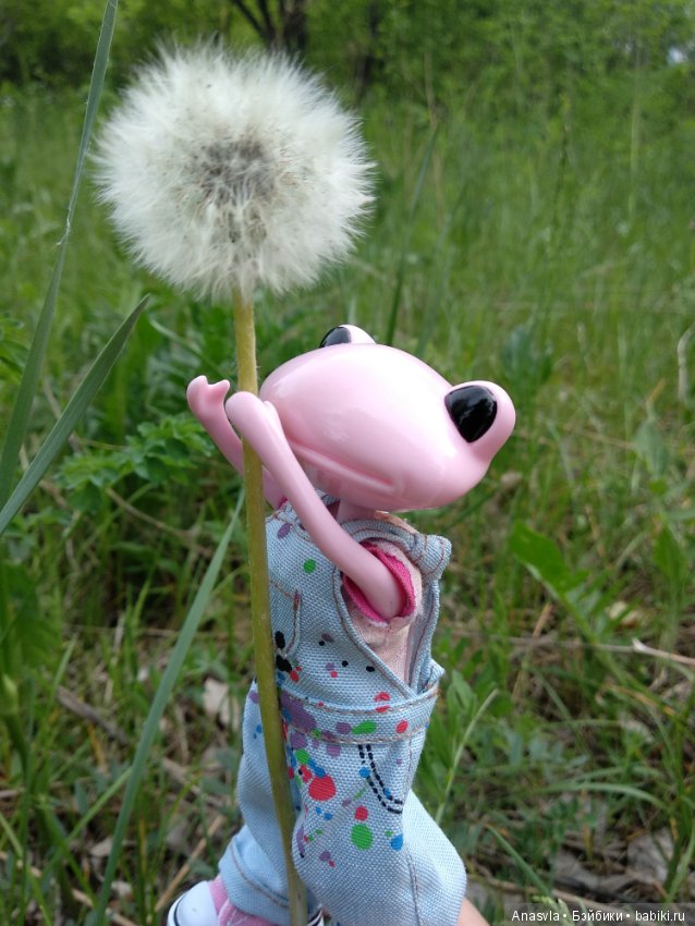 Таша+Таша или мои лягушки путешественницы (фото 6)