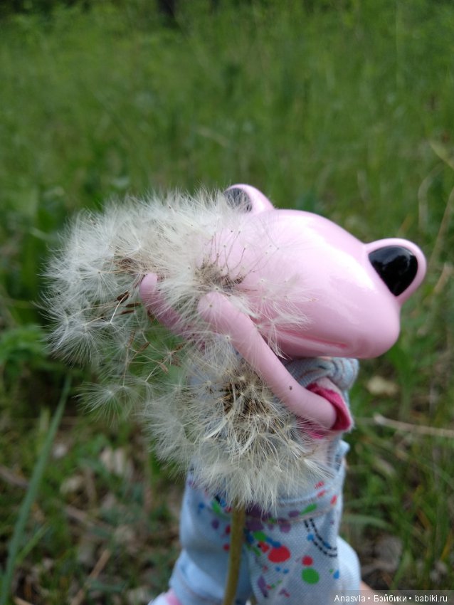 Таша+Таша или мои лягушки путешественницы (фото 7)