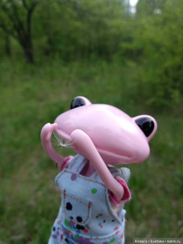 Таша+Таша или мои лягушки путешественницы (фото 9)