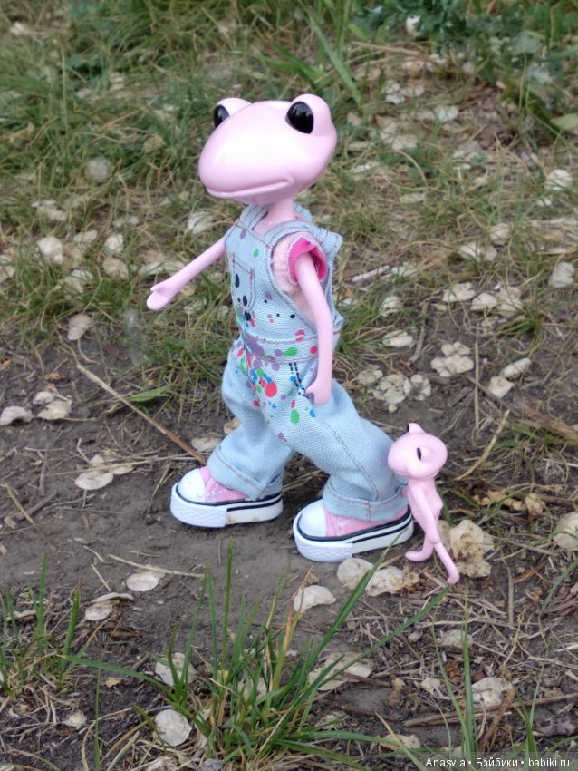 Таша+Таша или мои лягушки путешественницы (фото 2)