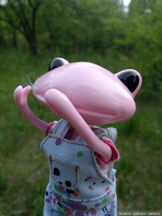 Таша+Таша или мои лягушки путешественницы (фото 10)