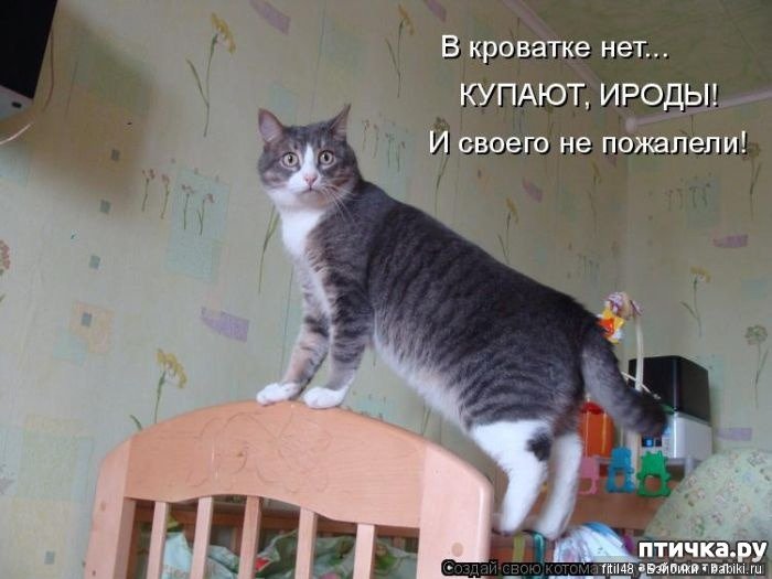 Воспитание детей: вредные советы (фото 3)