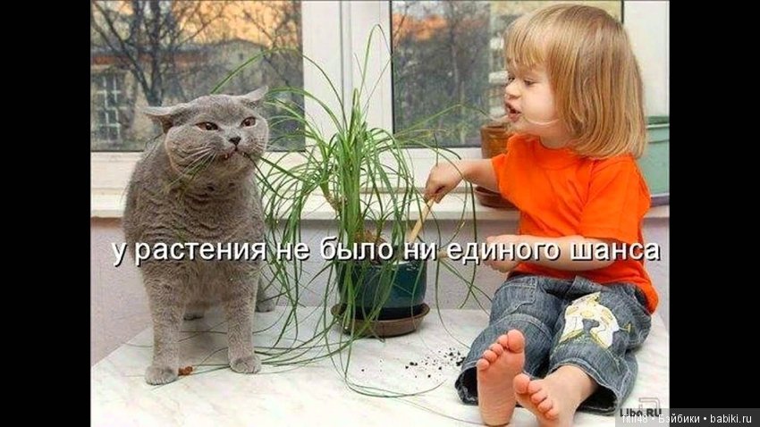 Воспитание детей: вредные советы