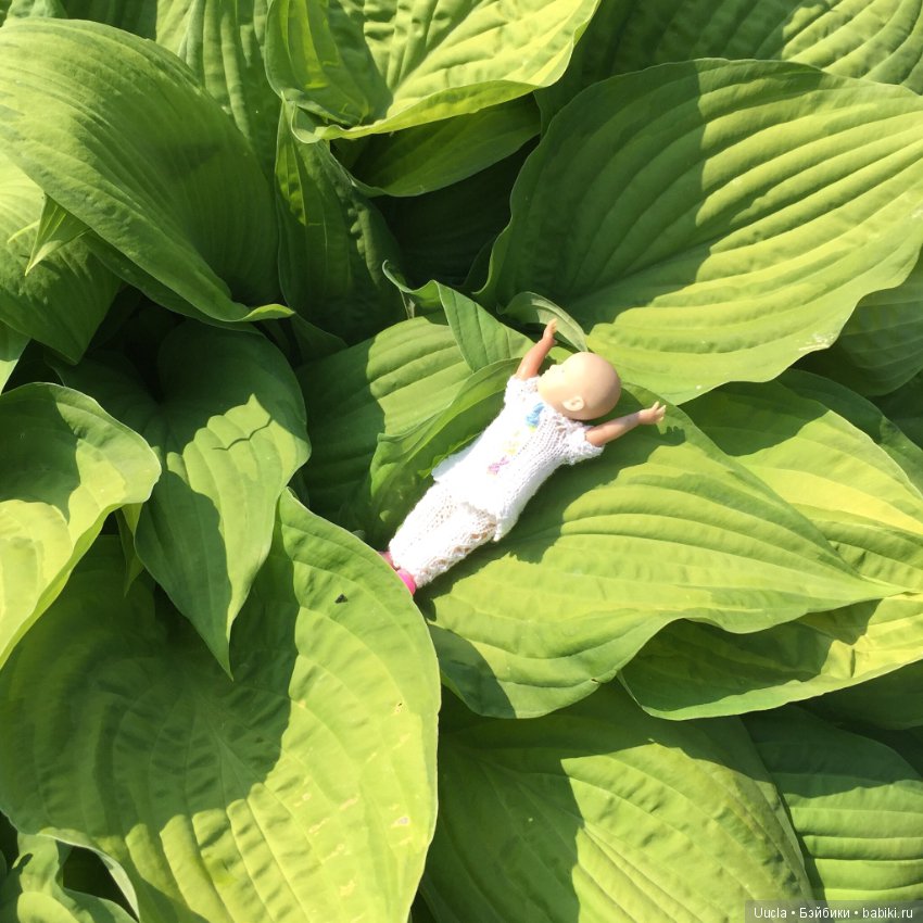 Из жизни фей и садовых гномов