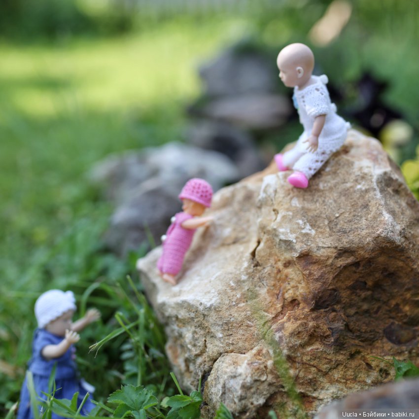 Из жизни фей и садовых гномов