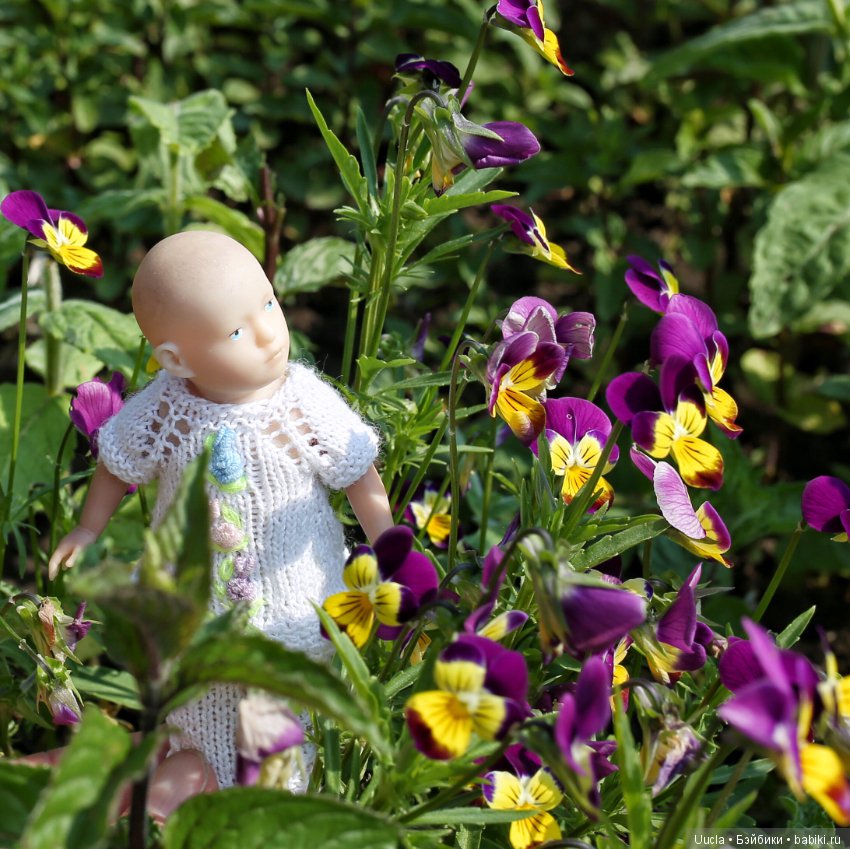 Из жизни фей и садовых гномов