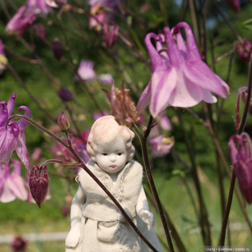 Из жизни фей и садовых гномов