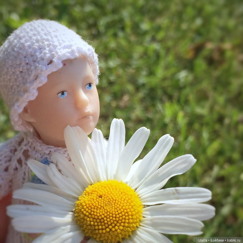 Из жизни фей и садовых гномов (фото 9)