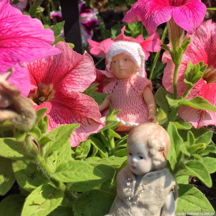 Из жизни фей и садовых гномов (фото 8)