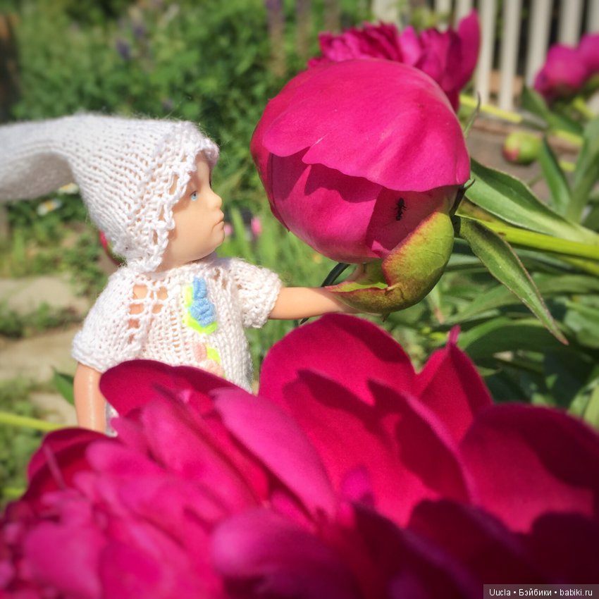 Из жизни фей и садовых гномов (фото 6)