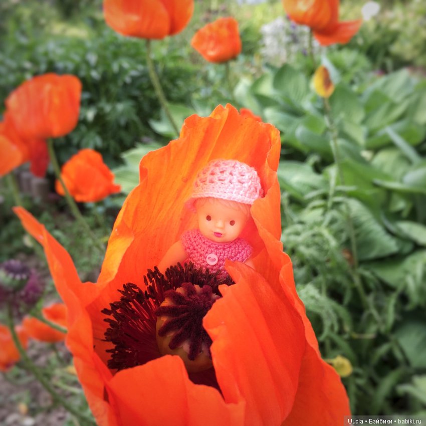 Из жизни фей и садовых гномов