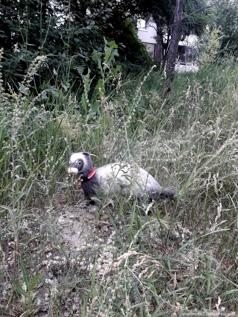 Хорек Крош — Валяные игрушки из шерсти: сухое валяние (фото 5)