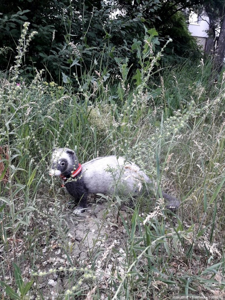 Хорек Крош — Валяные игрушки из шерсти: сухое валяние (фото 6)