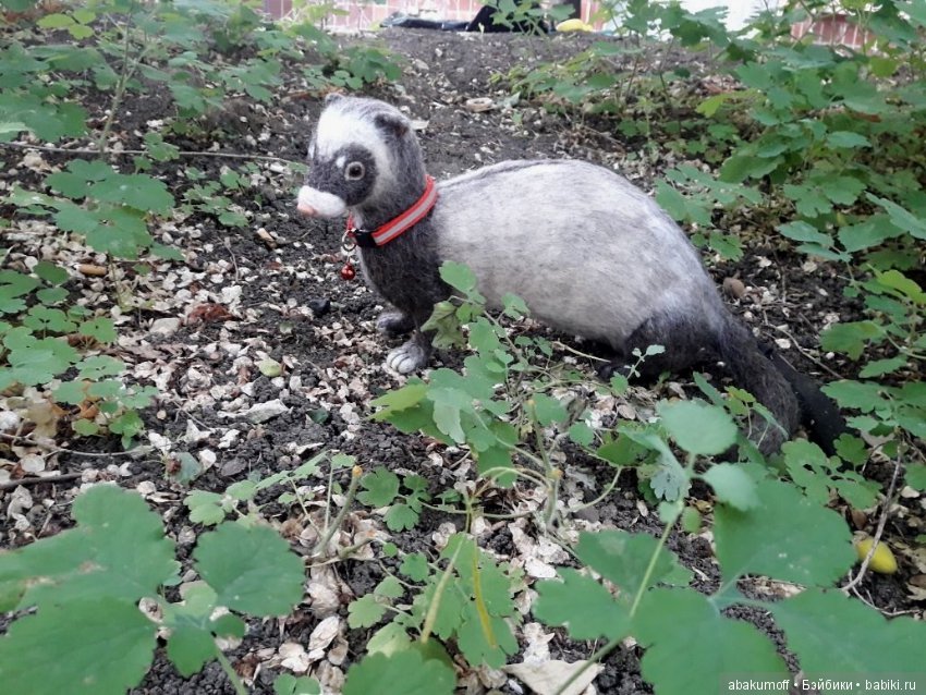 Хорек Крош — Валяные игрушки из шерсти: сухое валяние (фото 2)