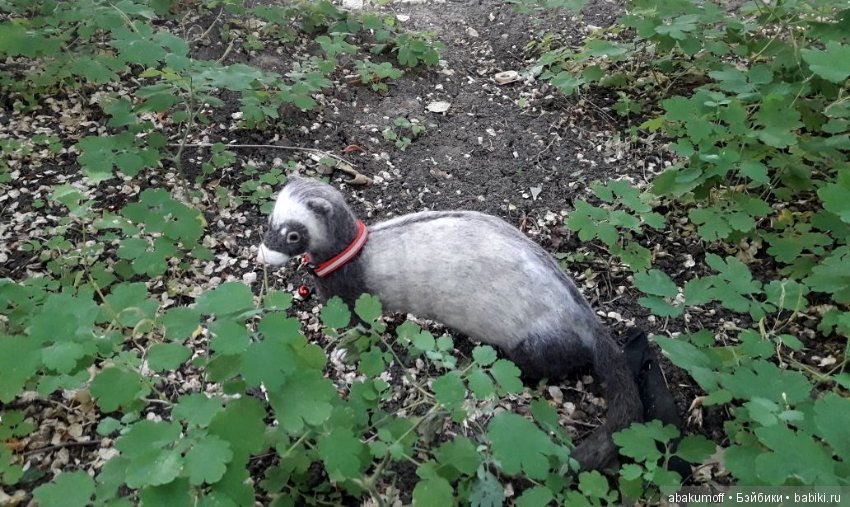 Хорек Крош — Валяные игрушки из шерсти: сухое валяние