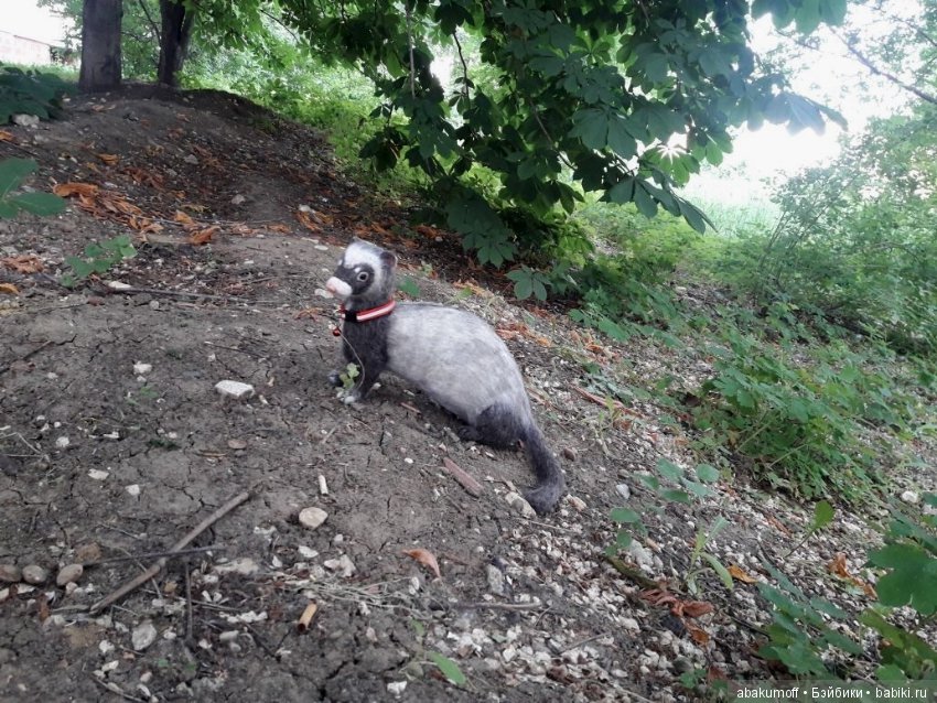 Хорек Крош — Валяные игрушки из шерсти: сухое валяние (фото 4)