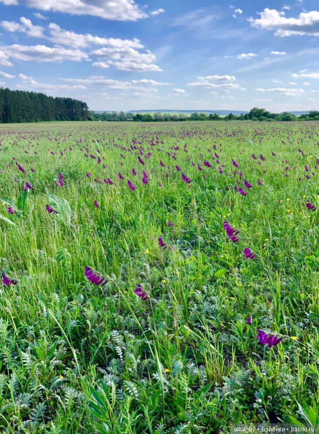 Джинни Nikki Britt — Куклы Nikki Britt (Никки Бритт): авторские BJD (БЖД)