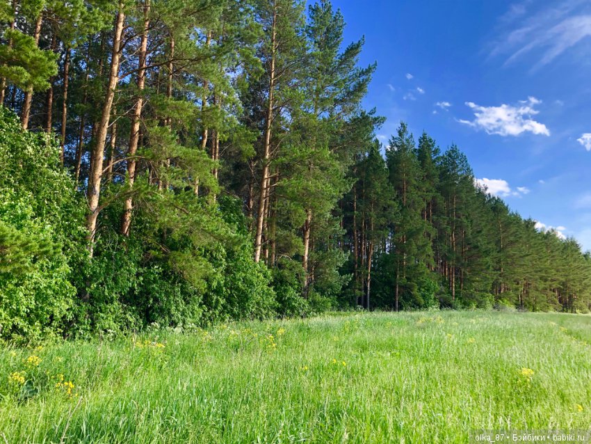 Джинни Nikki Britt — Куклы Nikki Britt (Никки Бритт): авторские BJD (БЖД)