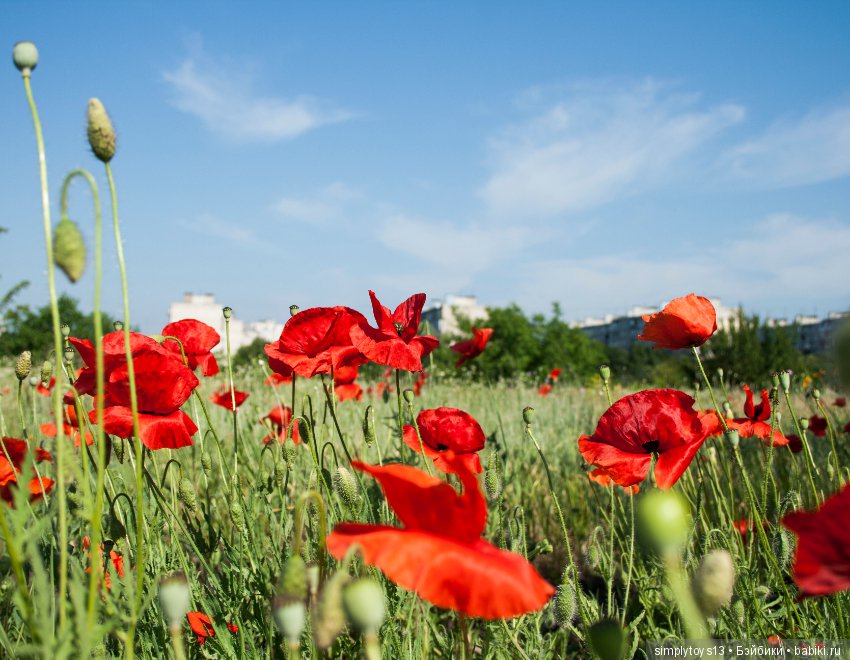 Первая прогулка Анки — Игровые куклы Zwergnase (Цвергназе) Junior: Джуниор