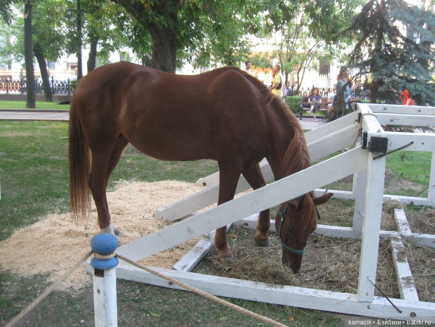 Рита на фестивале Времена и эпохи. часть 2