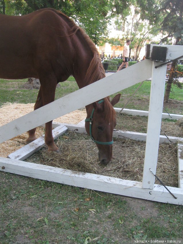 Рита на фестивале Времена и эпохи. часть 2