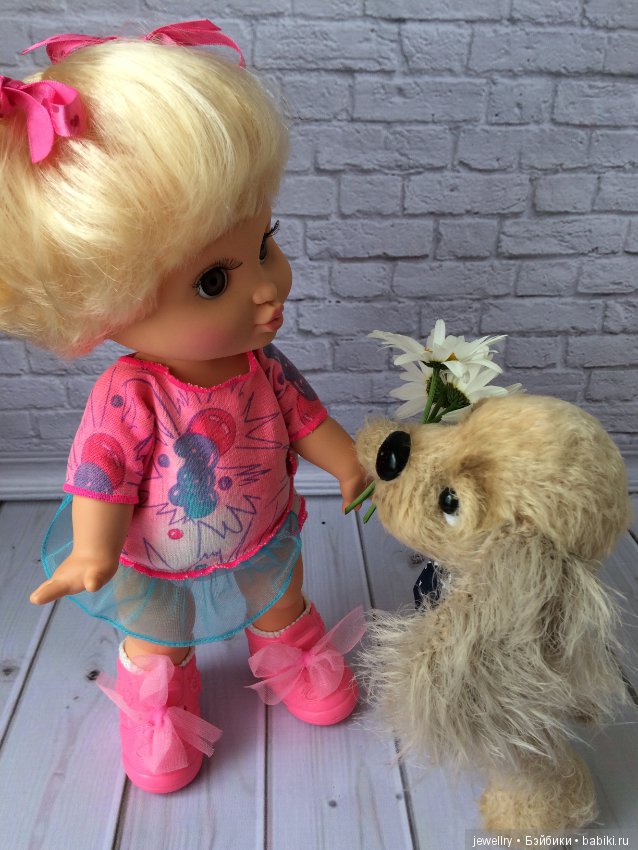 У нас в доме новенькие! Фейсинка Лаура и её друг спаниель (фото 2)