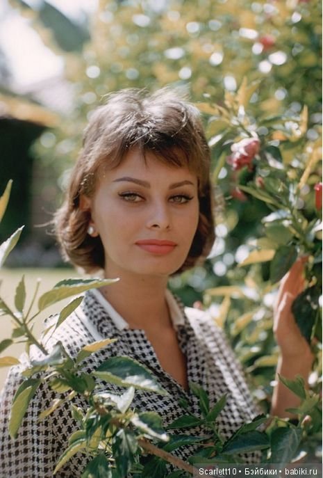 Софи Лорен - икона стиля — Интересное и необычное: фотоподборки