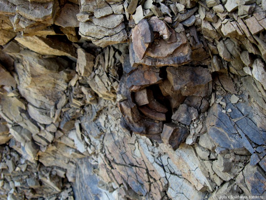 Орки, очень злые и страшные (фото 3)