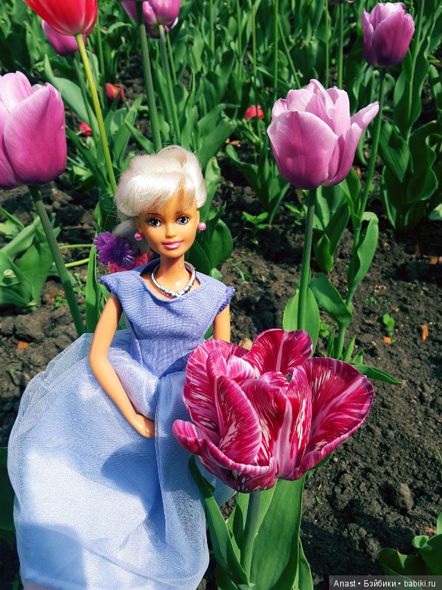 Сестры Синди — Куклы Sindy (Синди) и Tammy (Тамми): винтаж (фото 3)