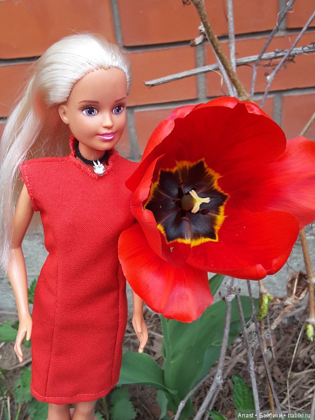 Сестры Синди — Куклы Sindy (Синди) и Tammy (Тамми): винтаж