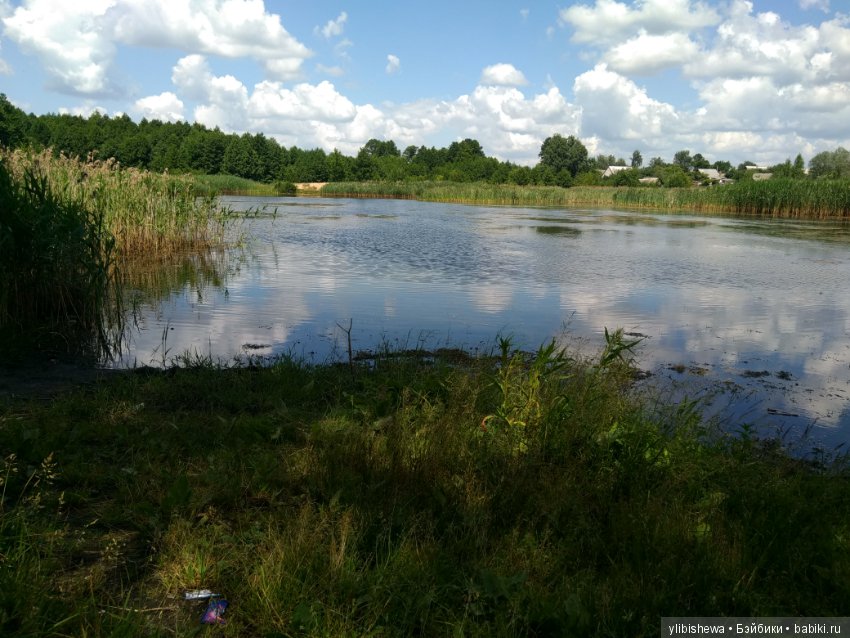 Прогулка или любовь не с первого взгляда (фото 2)