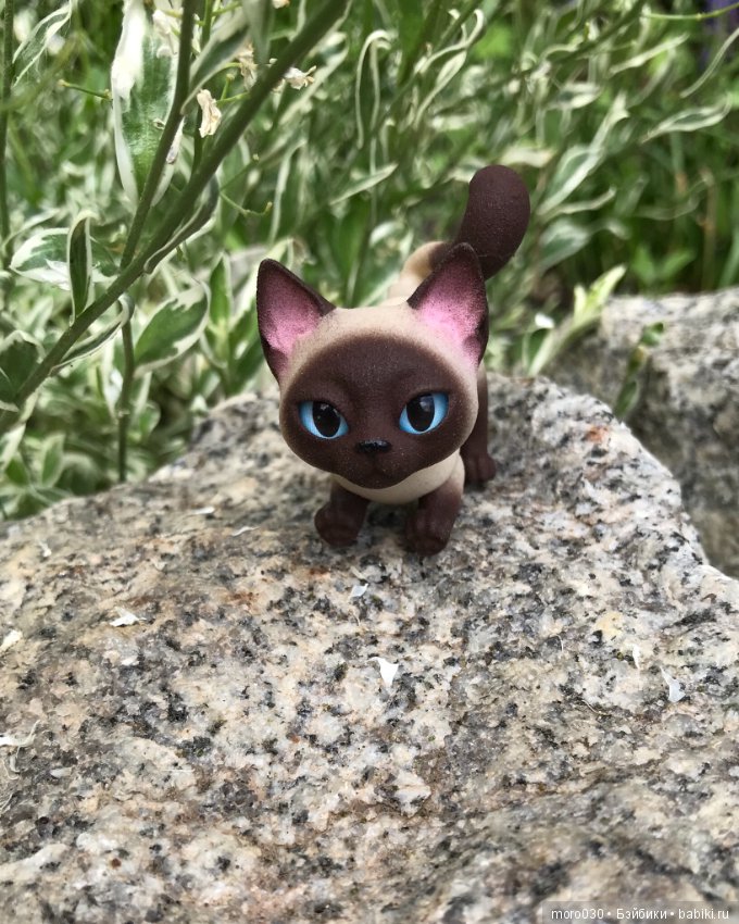 Котенок Зара — Разные шарнирные куклы (не БЖД): редкие (фото 9)