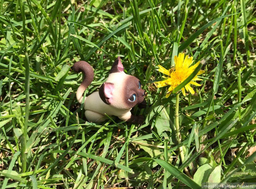 Котенок Зара — Разные шарнирные куклы (не БЖД): редкие