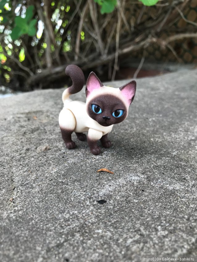 Котенок Зара — Разные шарнирные куклы (не БЖД): редкие