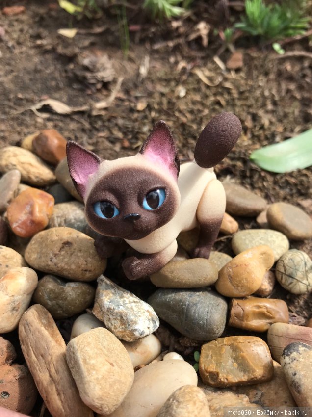 Котенок Зара — Разные шарнирные куклы (не БЖД): редкие (фото 2)