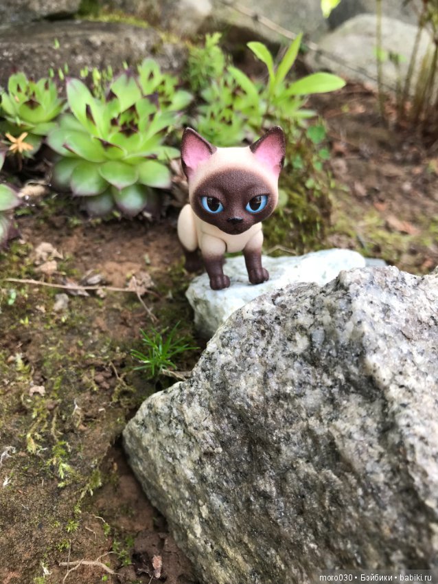 Котенок Зара — Разные шарнирные куклы (не БЖД): редкие (фото 10)