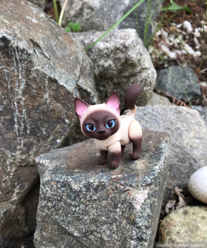 Котенок Зара — Разные шарнирные куклы (не БЖД): редкие