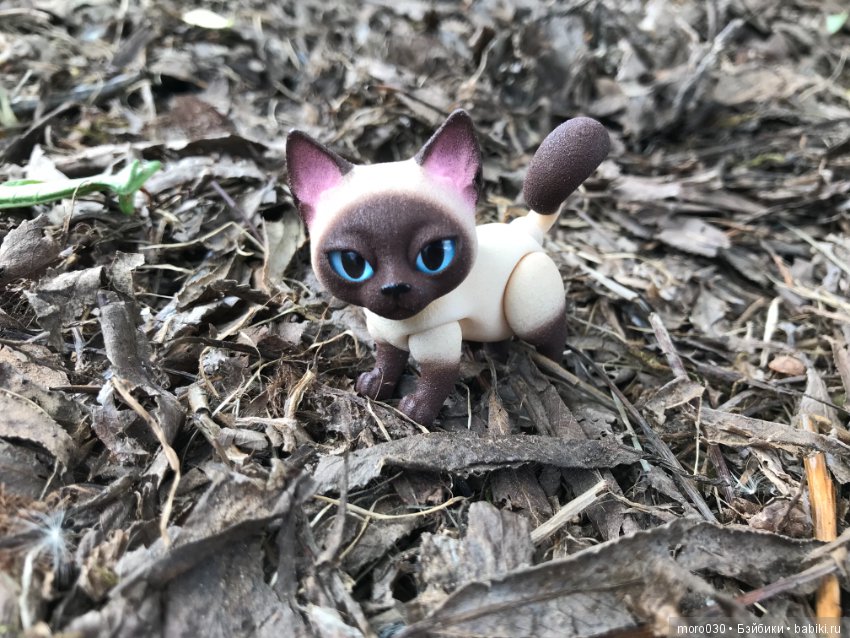 Котенок Зара — Разные шарнирные куклы (не БЖД): редкие (фото 7)