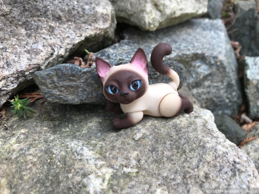 Котенок Зара — Разные шарнирные куклы (не БЖД): редкие
