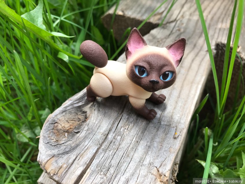 Котенок Зара — Разные шарнирные куклы (не БЖД): редкие