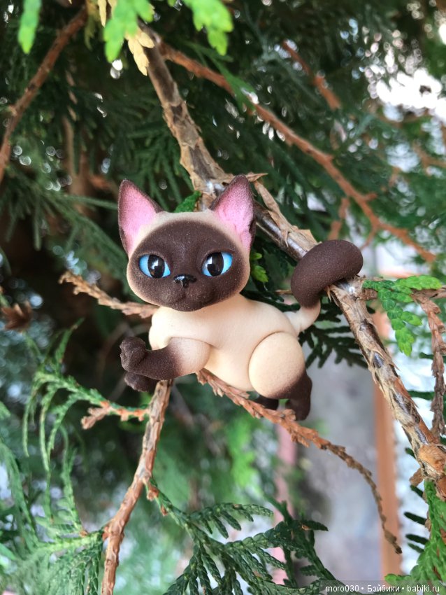 Котенок Зара — Разные шарнирные куклы (не БЖД): редкие